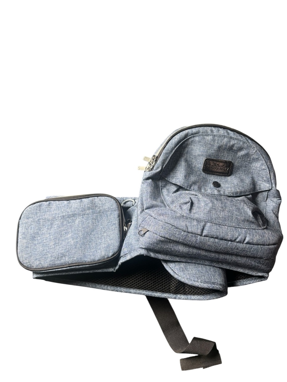 TushBaby Hip Carrier